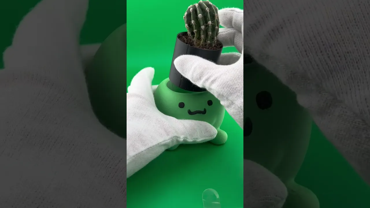 Dragon planter video thumbnail