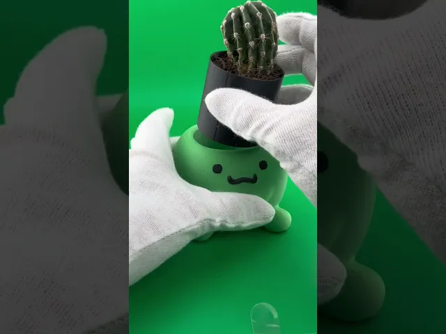 Dragon planter video thumbnail