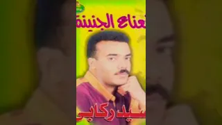 سيد ركابى نعناع الجنينة نوبي 90s 