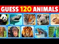 Download Lagu Guess 120 Animals in 3 Seconds | Easy, Medium, Hard, Impossible