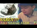 Download Lagu SAREN DARAH AYAM KHAS KEREP AMBARAWA SAMPAI SEKARANG MASIH EKSIS..