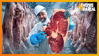 🐄 Desossando um BOI até virar uma PICANHA 🥩 | #VIDAREAL #34