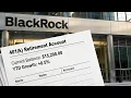 BlackRock CEO ADMITS Your 401 k Is Gone Work Until You Die