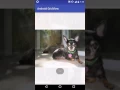 Android Gridview Tutorial using Android Gridlayout Example