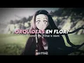 "Amor, no llores, veo luz en tus males" | Niño | Milo J | KNY