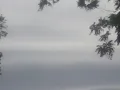 Severe Thunderstorms with Massive Shelf Cloud in Niles MI