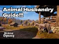Animal Husbandry in Medieval Dynasty Chickens Pigs Donkeys Geese Guide
