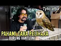 Download Lagu CARA MERAWAT BURUNG HANTU SERAK JAWA | Tyto alba | Barn owl