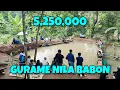 Download Lagu Sudah kuduga pasti ikannya besar\