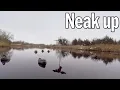 Camojojo Reading Duck Behavior How to Use Their Movements to Your Advantage