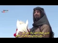 شيله ماهي قضية حب 💔