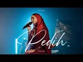 Lagu Sarah Suhairi - Pedih (Piano Version)