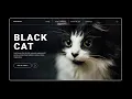 Website with fullscreen background Autoplay Control Toggle