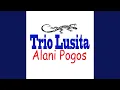 Lagu Alani Pogos