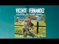 Vicente Fernández - Te Solté la Rienda (Cover Audio)
