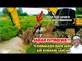 Lagu Jabar Istimewa ‼️ Terimakasih Bapa Aing KDM Air Semakin Lancar #dedimulyadi 