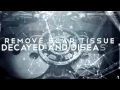 FEAR FACTORY - Regenerate (OFFICIAL TRACK & LYRIC VIDEO)