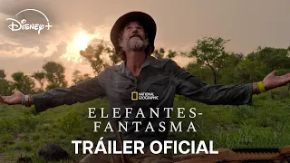 Elefantes Fantasma | Tráiler Oficial | Disney+