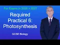 GCSE Biology Revision Required Practical 6 Photosynthesis