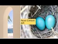 Lecture - Sharing State with Context API