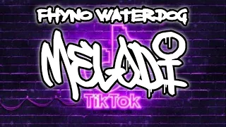Download MELODI TIK TOK REMIX 2022 BY FHYNO WATERDOG MP3