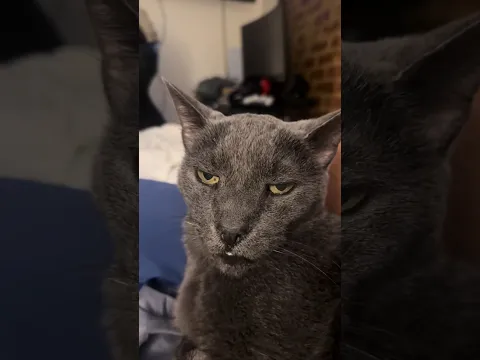 He Is Really Tired Of Mondays 😂