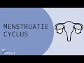 Download Lagu Menstruatiecyclus