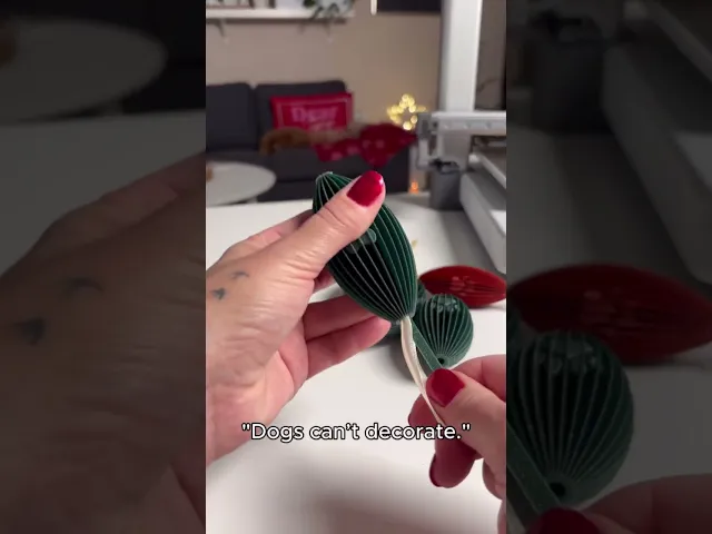PAWTWINKLE ORNAMENT video thumbnail
