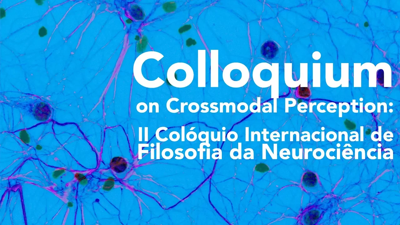 Descarga Corolaria, un mecanismo con algunas implicaciones filosóficas - prof.ª dr.ª Abigail Prchal