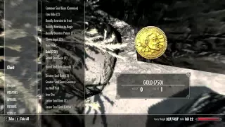 Skyrim Infinite Gold Secret Chest in Dawnstar GLITCH for PC