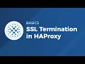 SSL Termination in HAProxy - HAProxy Basics