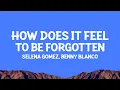 Download Lagu @selenagomez, @bennyblanco - How Does It Feel To Be Forgotten (Lyrics)