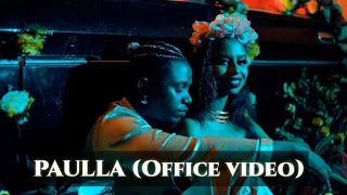 rayvany song paula official video 