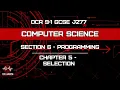 Programming - Chapter 5