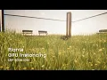 Plants GPU Instancing Shader by Unity URP 6000