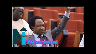 If Tinubu fails to Reconcile APC We are doomed - Shehu Sani
