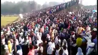 Hiriira Deggarsa Dr Abiy Magaala Jimmaa 