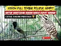 Download Lagu PANCINGAN SOGON GACOR FULL TEMBAKAN PELATUK SAMPIT COCOK UNTUK MASTERAN SOGON BAHAN