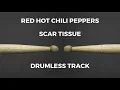 Download Lagu Red Hot Chili Peppers - Scar Tissue (drumless)
