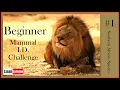 Beginner Mammal ID Challenge