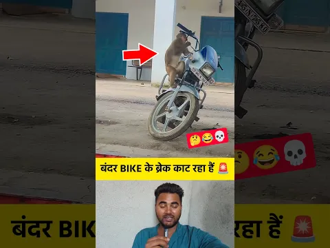 बंदर BIKE के ब्रेक काट रहा हैं 😂😱 #shorts #monkey #bike #break #cutting #shortvideo #viralvideo