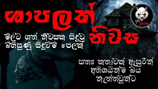 Download ශාපලත් නිවස | Holman katha | 3N Ghost | Sinhala holman katha | Sinhala ghost story Episode 99 MP3