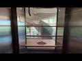Haughton Glass Elevator at Regal Edwards Big Newport in Newport Beach CA