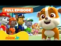 Download Lagu Rubble Joins the PAW Patrol and the Pups Save a Walrus! | FULL EPISODES | Nick Jr.