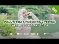 Download Lagu DJ Peluk Erat Tubuhku (Remix) - DJ Candu ft. Cut Rani Auliza