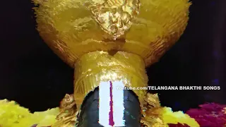 Annamacharya Amruthavarshini - Puttugokula - S P Balasubrahmanyam