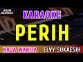 Download Lagu PERIH - KARAOKE NADA WANITA ( ELVY SUKAESIH )