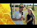Download Lagu 'VAN DER POEL rijdt hele dag met z'n HOL OPEN voor 1 seconde' |In De Waaier |Tour de France Etappe 6