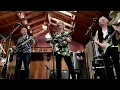 Take Out Some Insurance (Robben Ford) cover by the Barry Leef Band