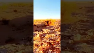 صحرات الحدود ليبيا 